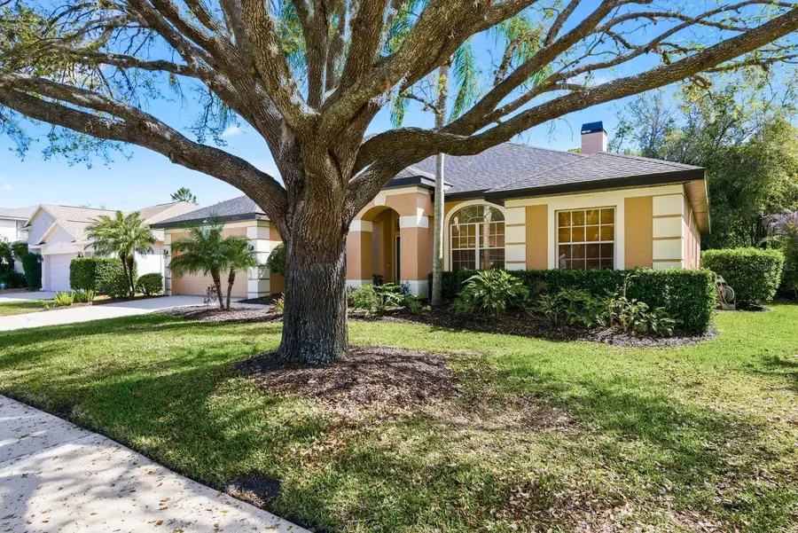 5035 Kernwood Court, Palm Harbor, FL 34685 - #2