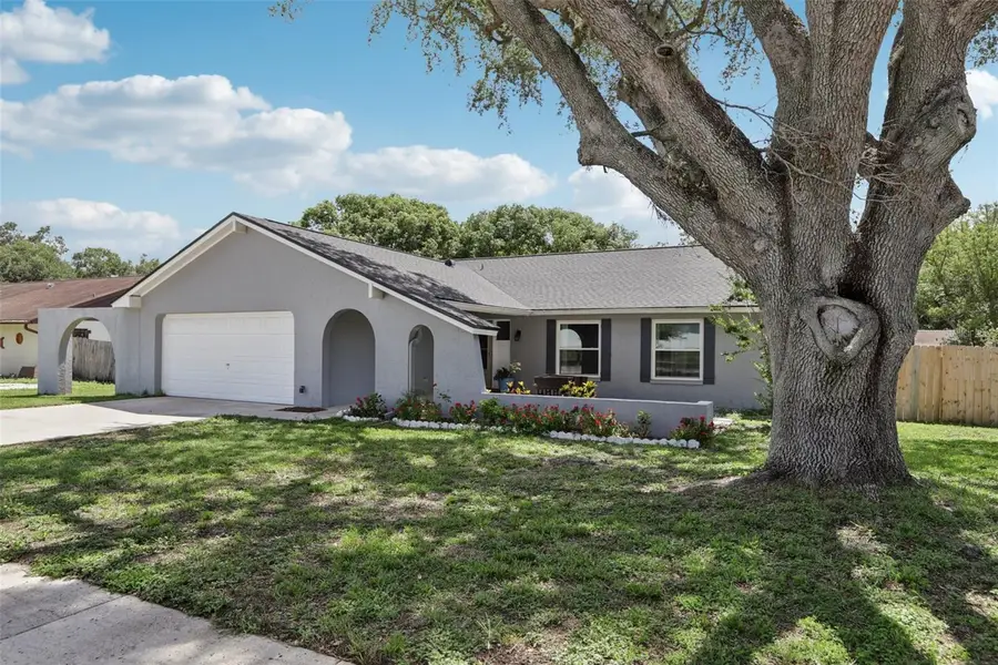 1009 Black Knight Drive, Valrico, FL 33594 - #3