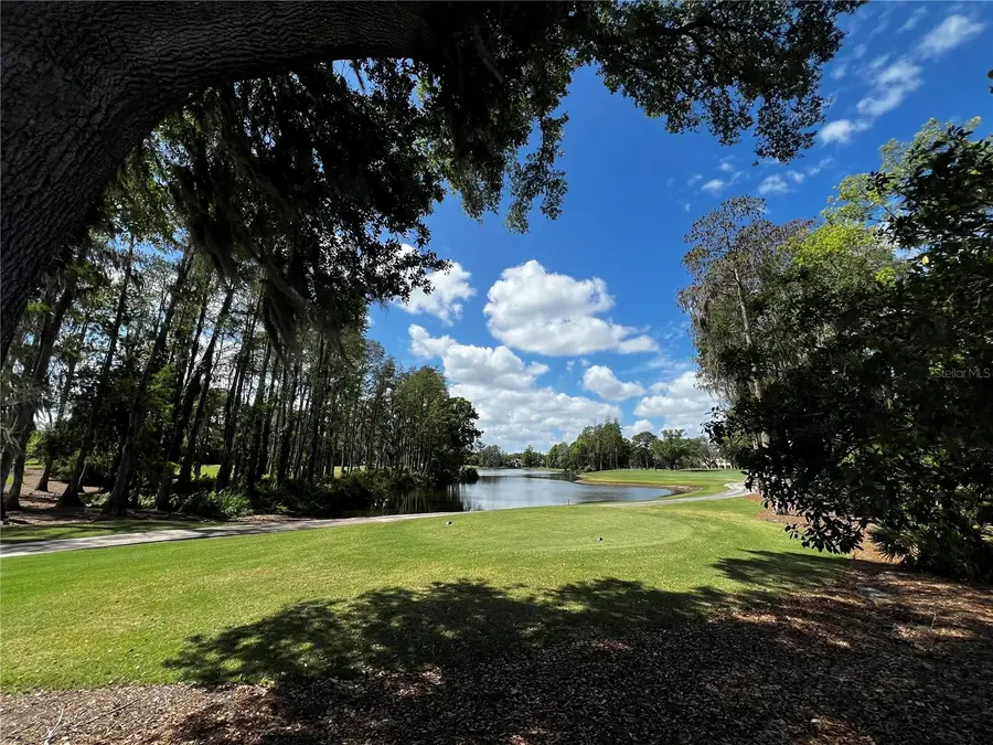 16912 Villalagos De Avila, Lutz, FL 33548 - #2