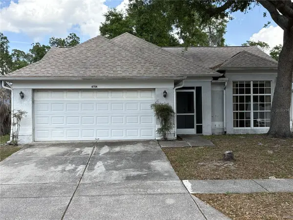 4704 Lighterwood Way, VALRICO, FL 33596