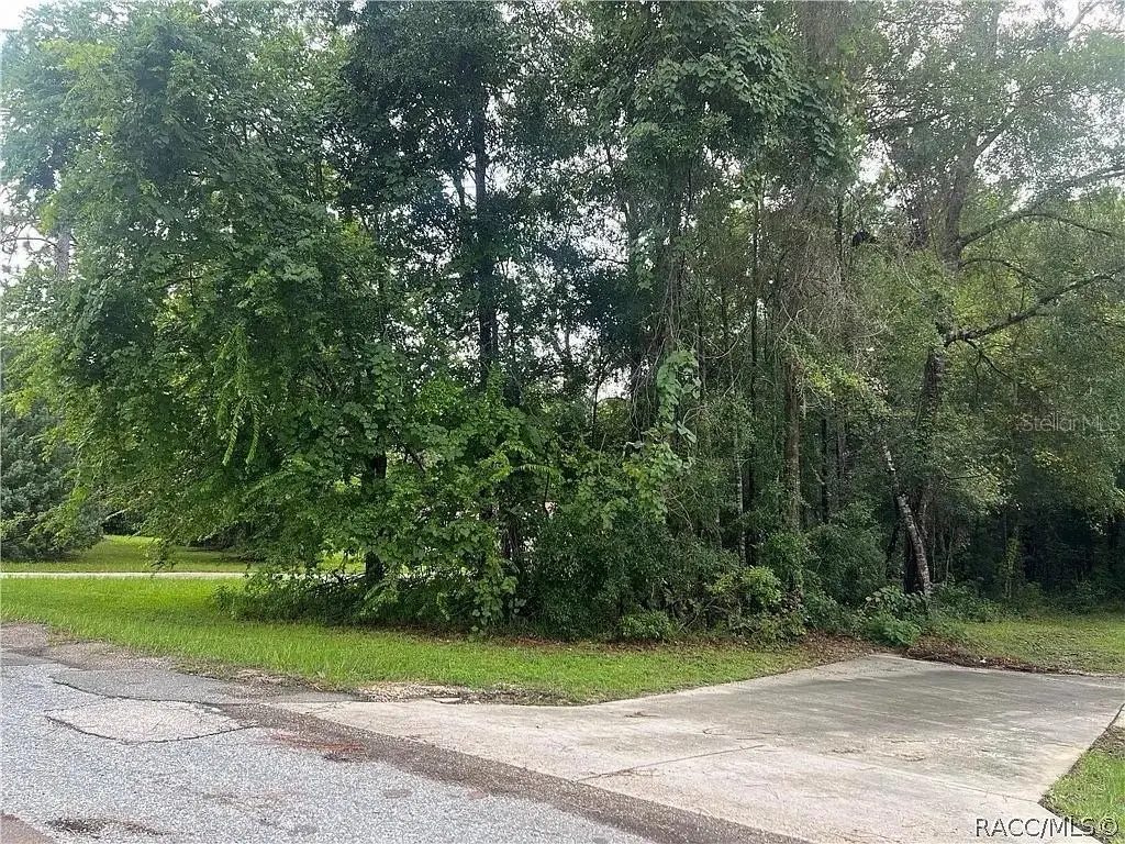 178 S School Avenue, Lecanto, FL 34461 - #1