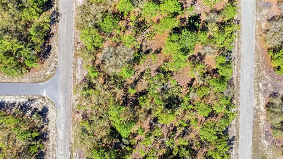 1877 W Pendleton Street, Dunnellon, FL 34434 - #2