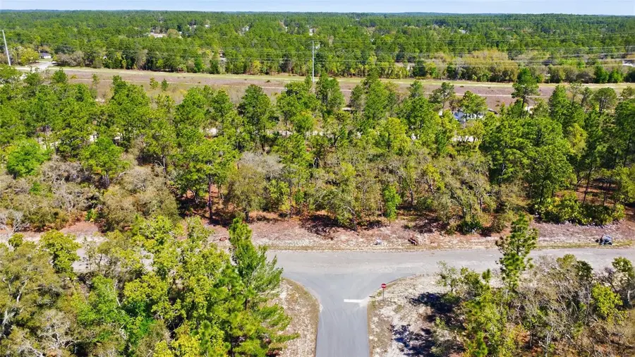 1877 W Pendleton Street, Dunnellon, FL 34434 - #3