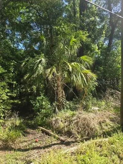 0 Fort Dade Avenue, Brooksville, FL 34601 - #2