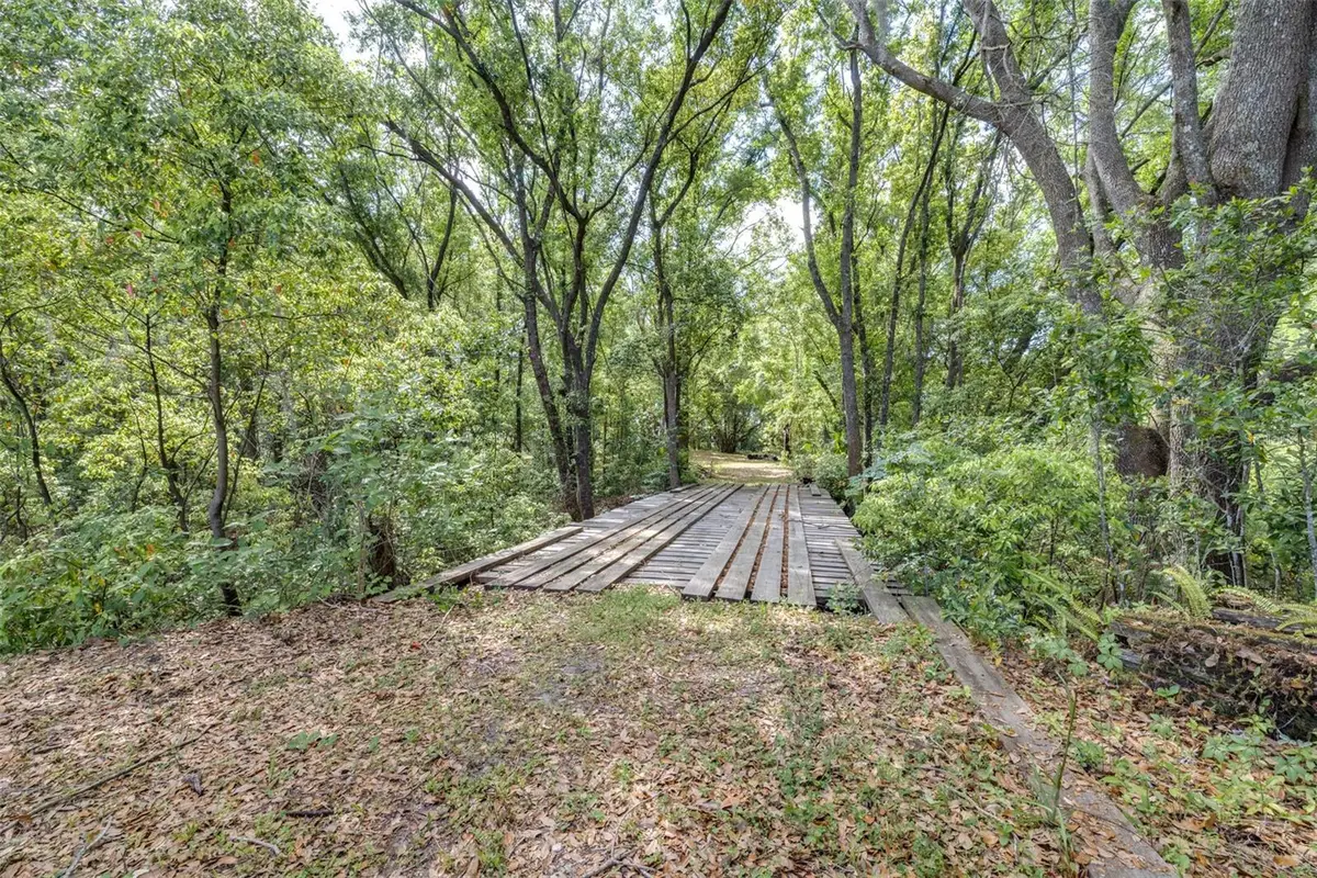 28616 Tupper Road, Wesley Chapel, FL 33545 - #1