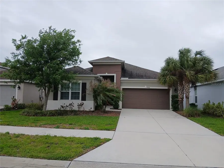 29900 Walsh Oak Drive, Wesley Chapel, FL 33545 - #2