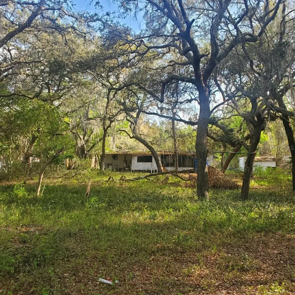 17461 SE 10th Street, Silver Springs, FL 34488 - #1