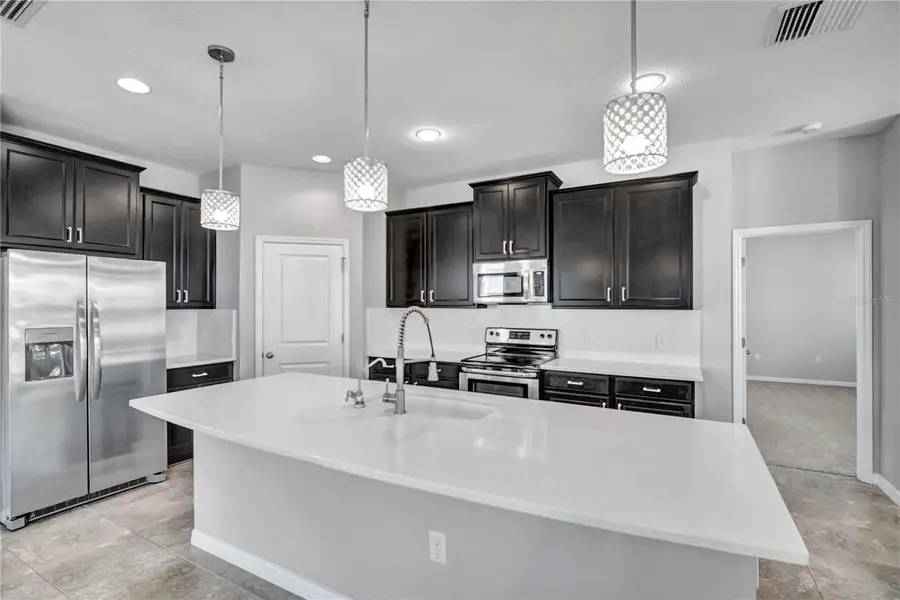 32430 Bannack Lane, Wesley Chapel, FL 33543 - #3