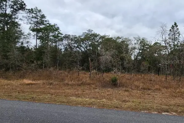 12425 Maleo Road, WEEKI WACHEE, FL 34614