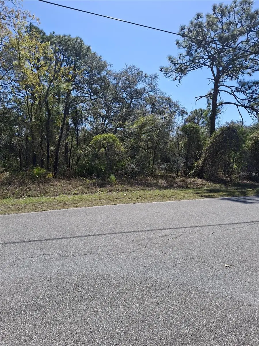 11500 Lomita Wren Road, Weeki Wachee, FL 34614 - #2