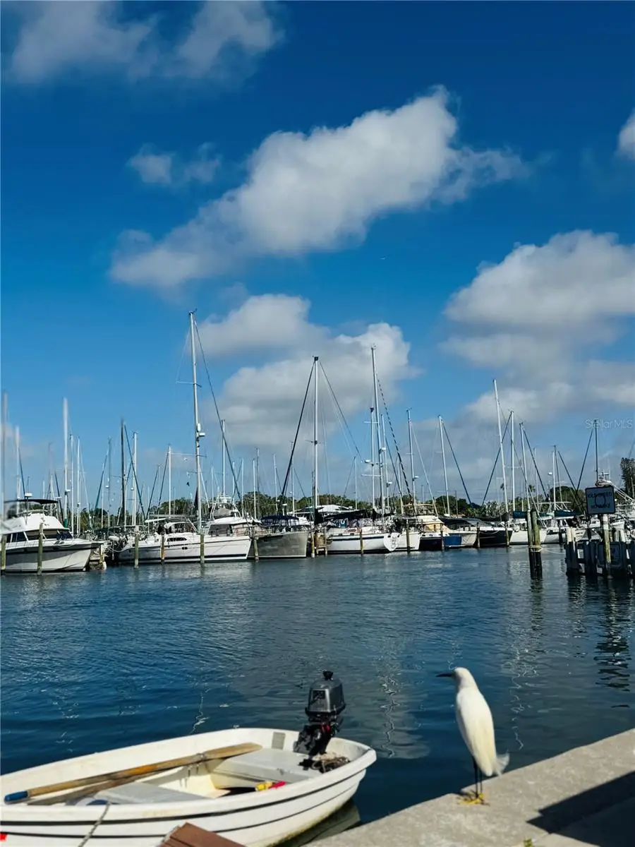 2812 Miriam Street S, Gulfport, FL 33711 - #2