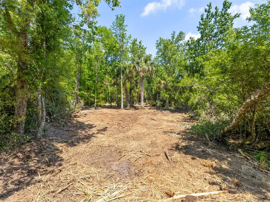 0 Muddy Water Trail, Thonotosassa, FL 33592 - #3