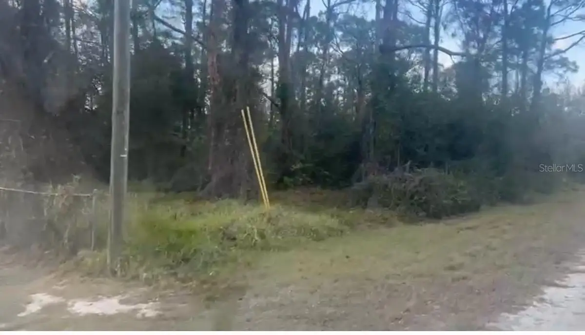 311 Wilson Lane Ne, Lake Placid, FL 33852 - #1