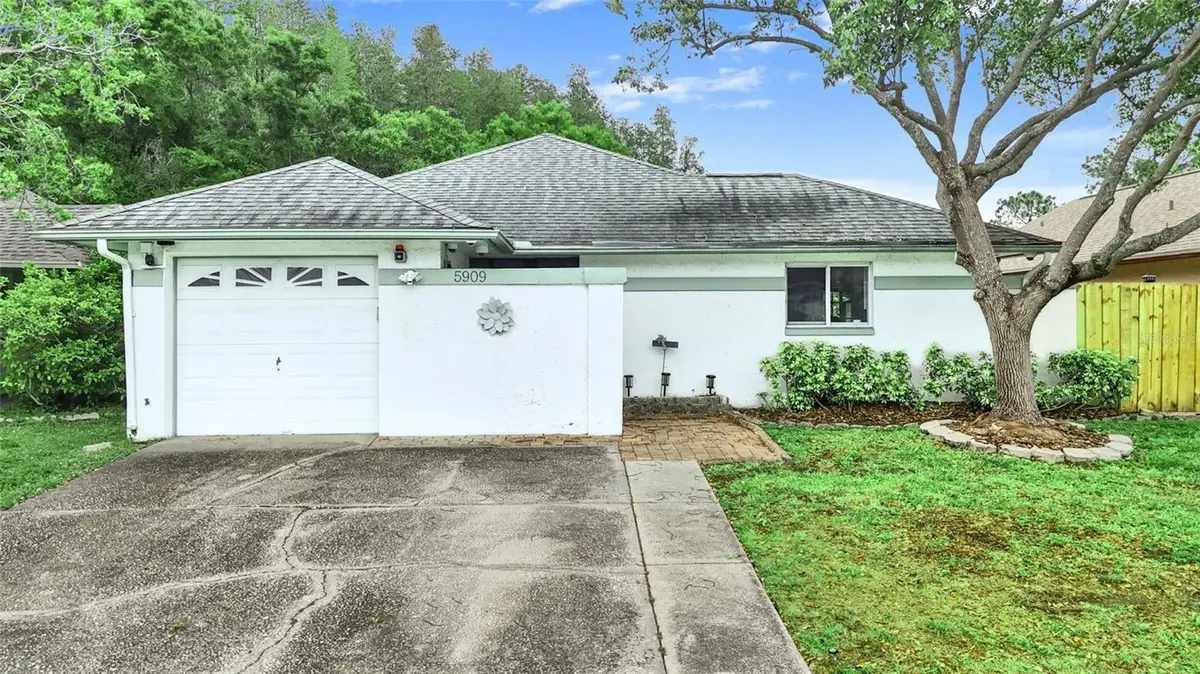 5909 Bitterwood Court, Tampa, FL 33625 - #1