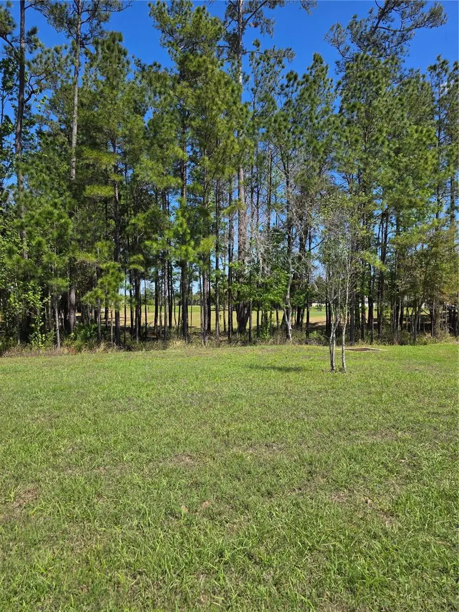 5058 Diantha Way, Brooksville, FL 34604 - #2