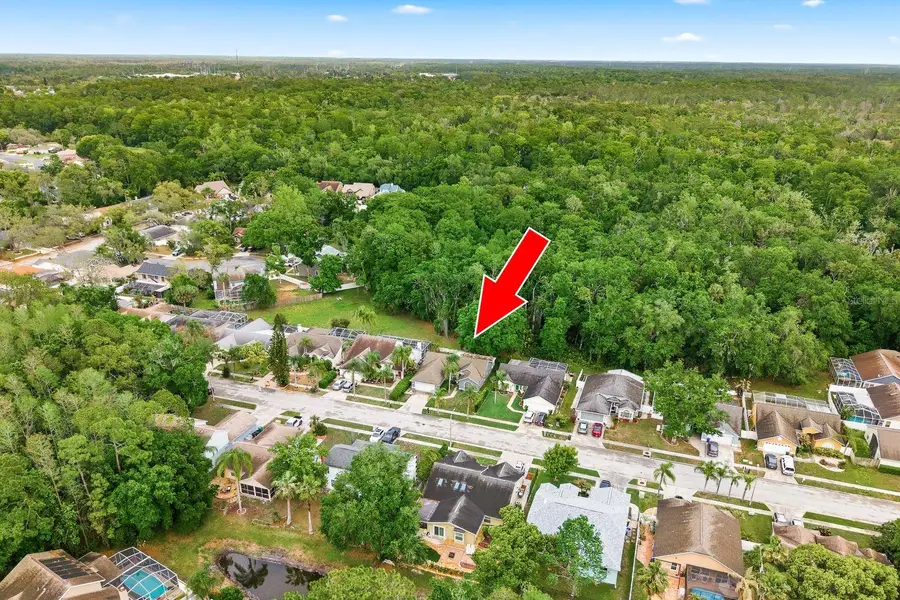 7050 Woodibis Drive, New Port Richey, FL 34654 - #2