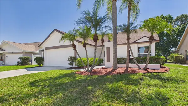 8609 Boysenberry Drive, TAMPA, FL 33635