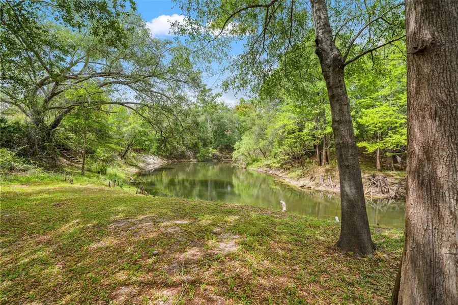 33013 Round Table Road, Ridge Manor, FL 33523 - #2