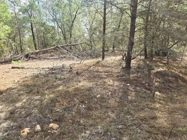 206 Wales Street, INTERLACHEN, FL 32148