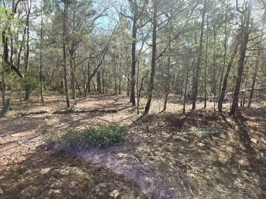 206 Wales Street, Interlachen, FL 32148 - #3