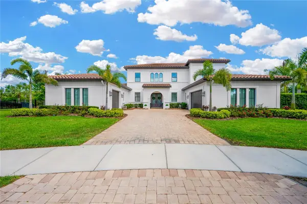 16419 Chapman Crossing Drive, LITHIA, FL 33547