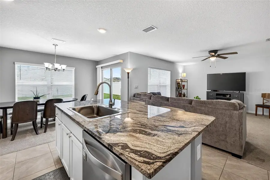 13765 Whiskey Daisy Drive, Dade City, FL 33525 - #3