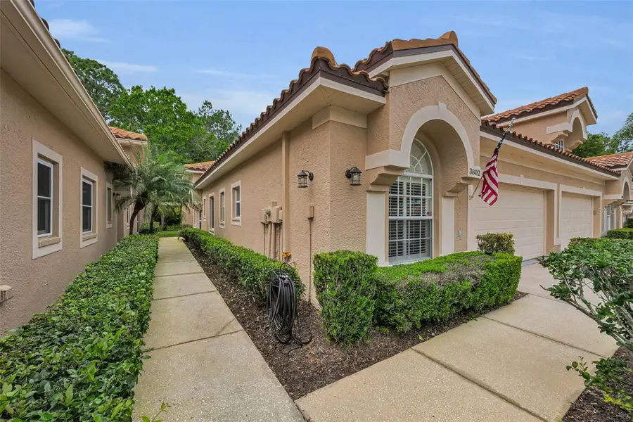 3802 Darston Street, Palm Harbor, FL 34685 - #3