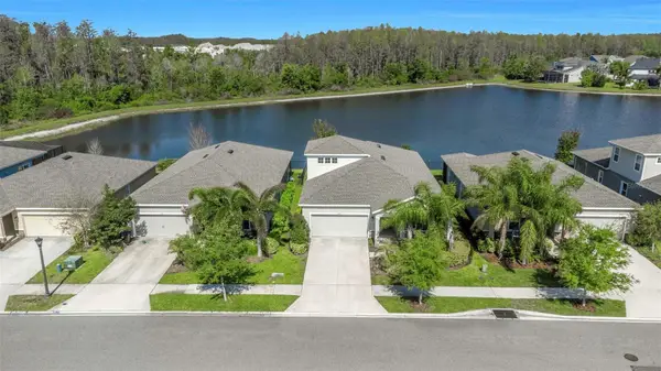2427 Portico Street, ODESSA, FL 33556