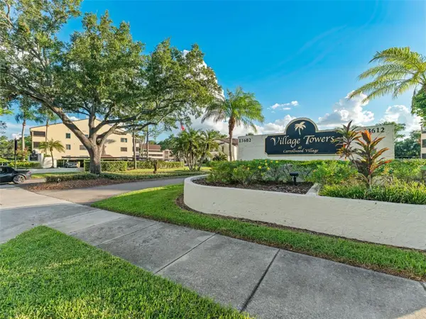 13608 S Village Drive #7204, TAMPA, FL 33618