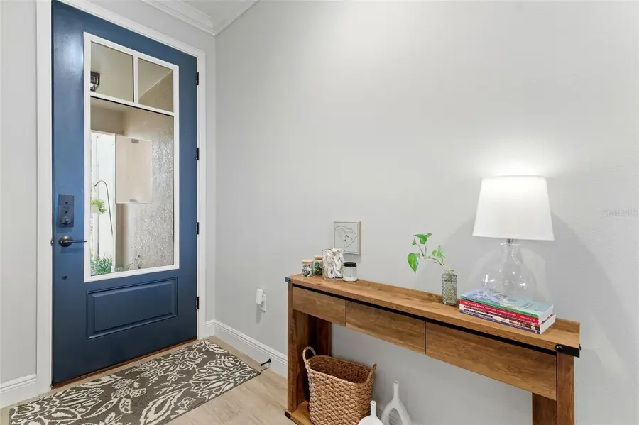 1004 Mango Court, Oldsmar, FL 34677 - #3