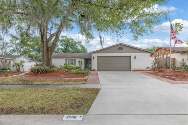 3706 Orangecrest Street, VALRICO, FL 33596