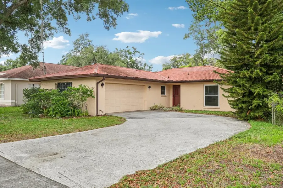 11732 Moffat Avenue, Tampa, FL 33617 - #2