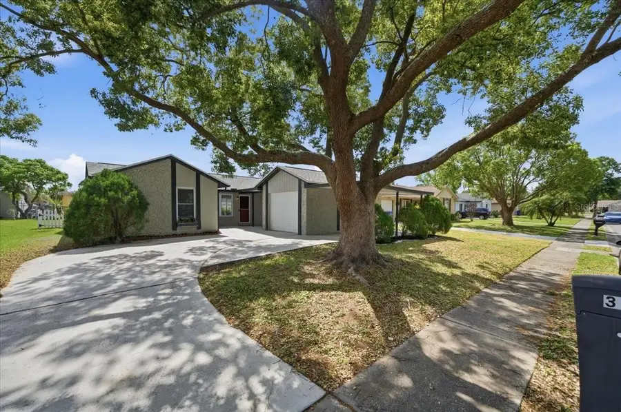 3142 Loomis Drive, New Port Richey, FL 34655 - #2