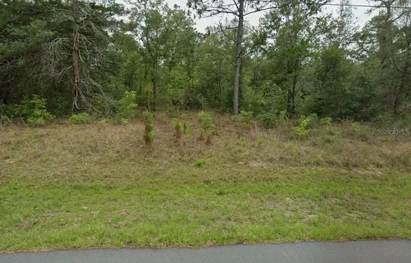 3054 W Hamlet Place, CITRUS SPRINGS, FL 34433