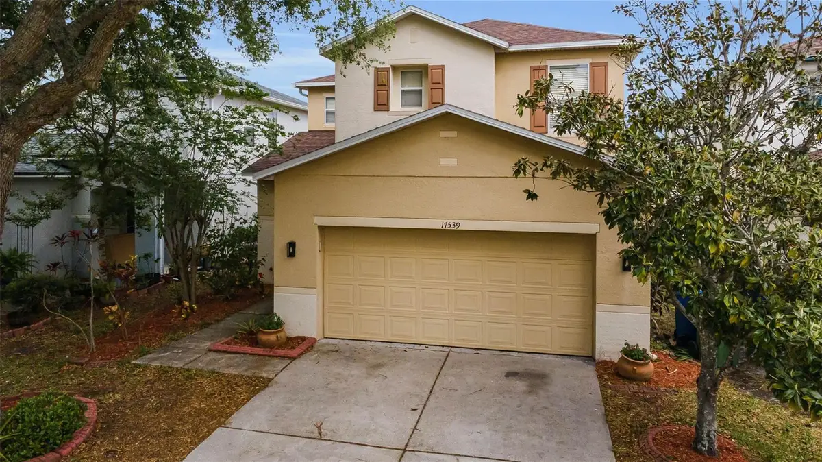 17539 Balmaha Drive, Land O Lakes, FL 34638 - #1