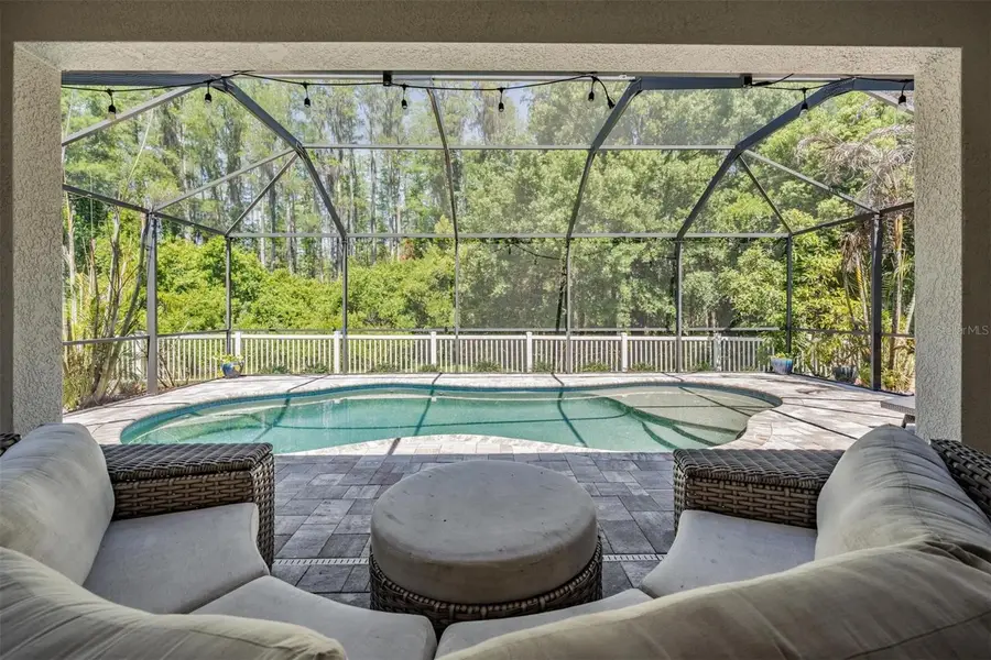 19545 Post Island Loop, Land O Lakes, FL 34638 - #3