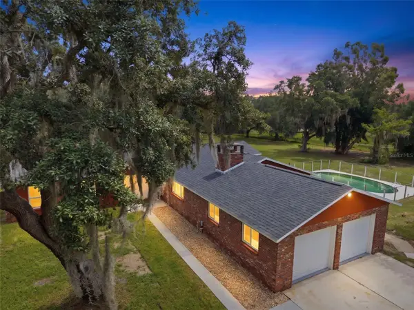 10103 Frierson Lake Drive, HUDSON, FL 34669