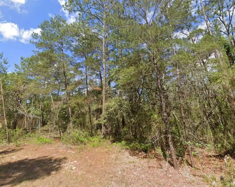 15 Petunias Court, Homosassa, FL 34446 - #2