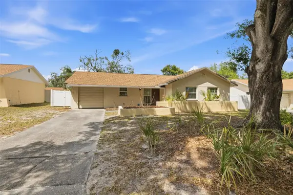 8522 Caladesi Island Drive, TEMPLE TERRACE, FL 33637