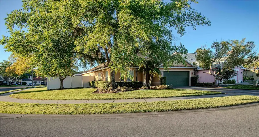 509 Cypress View Drive, Oldsmar, FL 34677 - #3