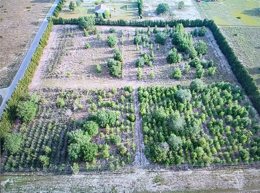 6719 S Georgian Road, Homosassa, FL 34446 - #2