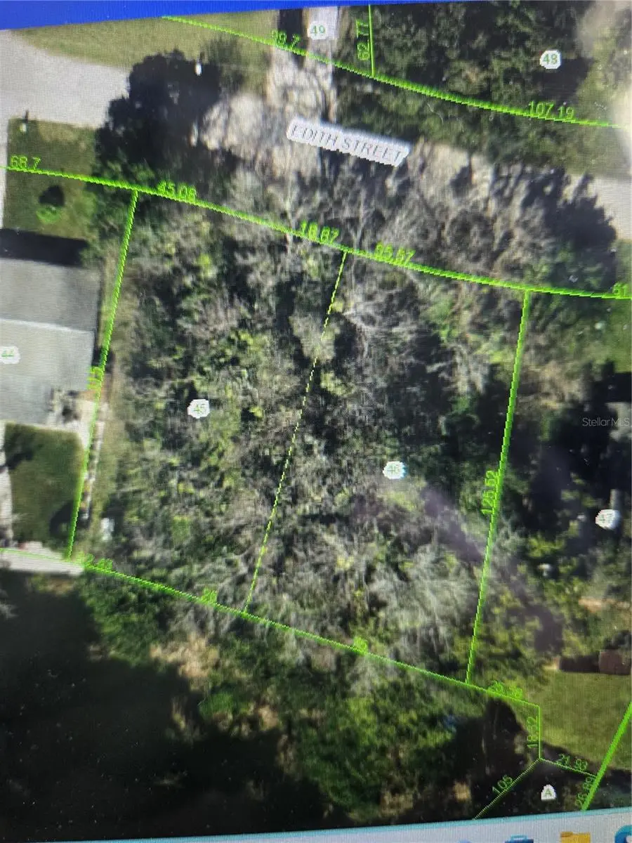 4602 Edith Street, New Port Richey, FL 34652 - #2