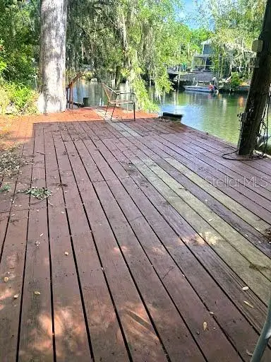 7801 N 12th Street, Tampa, FL 33604 - #3