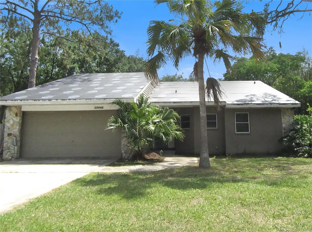 22646 Weeks Boulevard, Land O Lakes, FL 34639 - #1