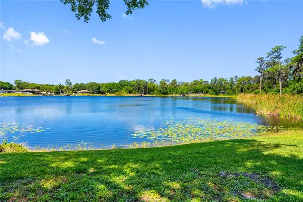 10209 Lake Grove Drive, ODESSA, FL 33556