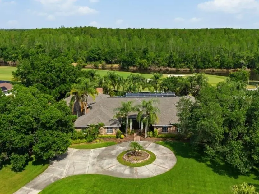 18701 Pepper Pike, Lutz, FL 33558 - #3