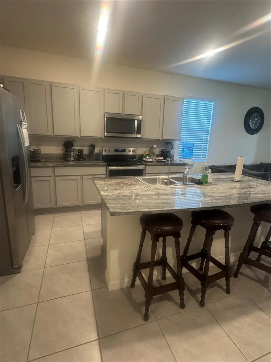 33074 Tulip Petal Lane, Wesley Chapel, FL 33545 - #3