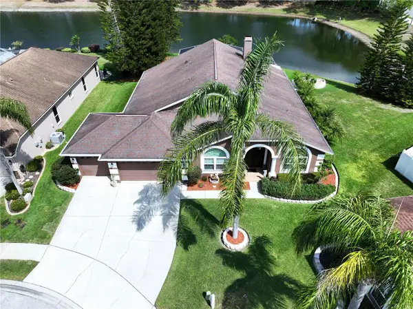 22707 Laureldale Drive, LUTZ, FL 33549