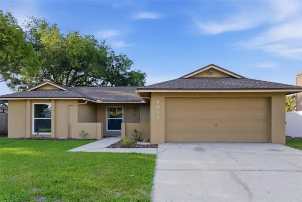 4017 Braesgate Lane, TAMPA, FL 33624