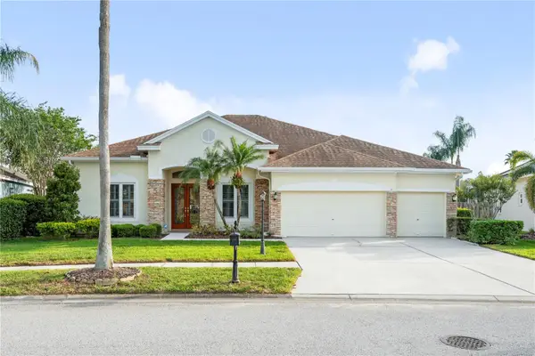 10506 Brentford Drive, TAMPA, FL 33626